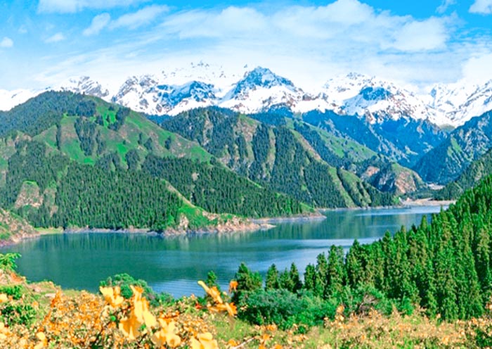 Kawasan Wisata Ikonik Xinjiang Memasuki Musim Emas untuk Melihat Pemandangan