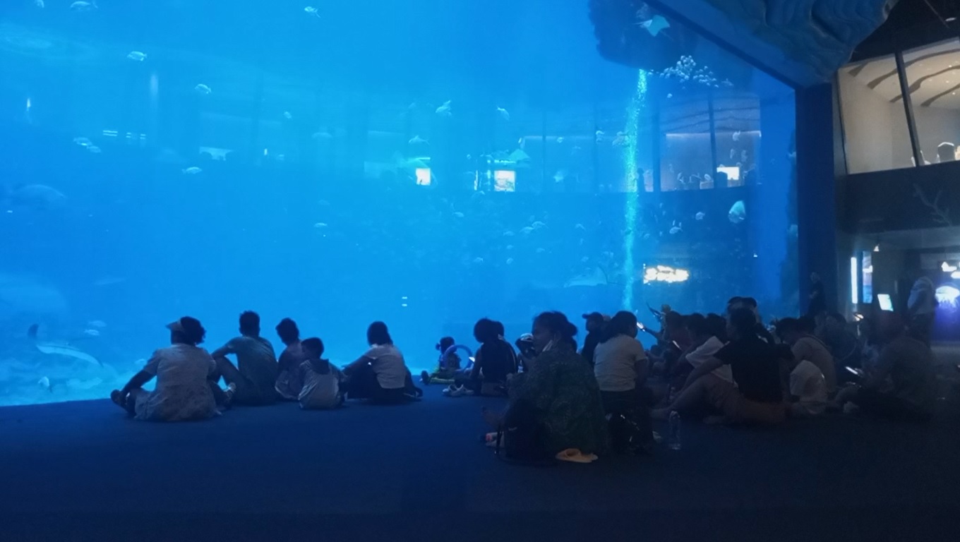 Hainan Ocean Paradise Resort, Pengalaman Wisata Yang Melampaui Batas