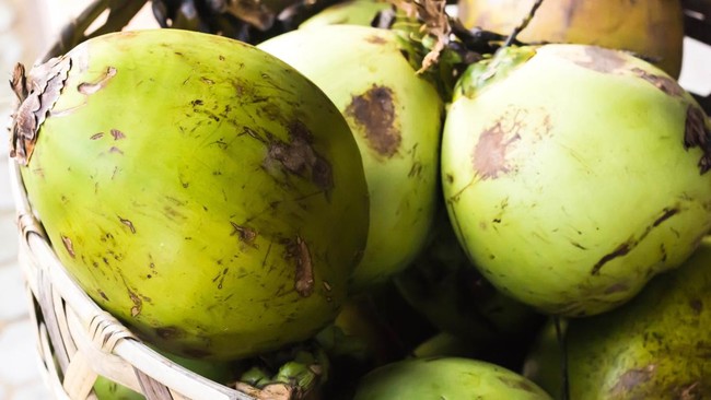 Hari Kelapa Sedunia atau World Coconut Day dirayakan tiap tanggal 2 September Hari ini dirayakan sebagai sebuah perayaan untuk buah yang banyak disukai dan dipakai sebagai masakan di seluruh dunia