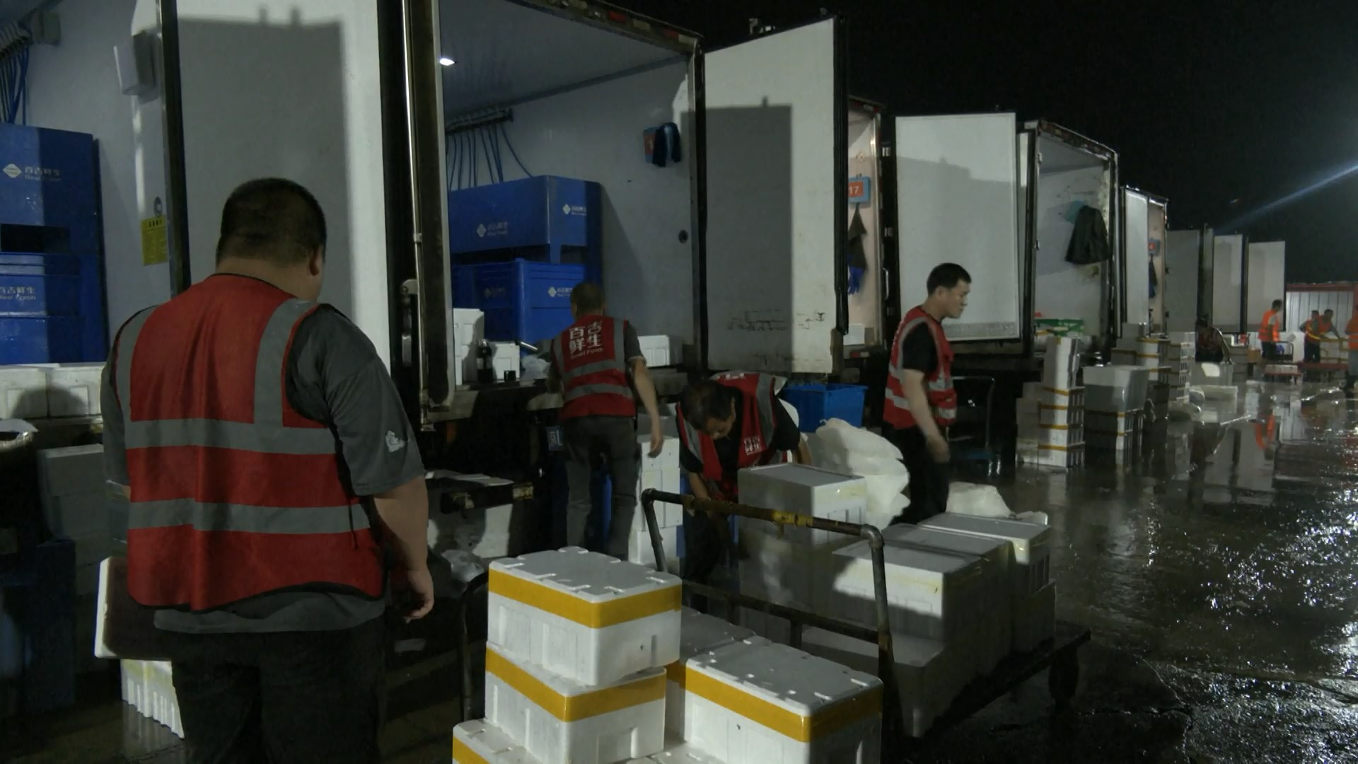 Musim panas adalah musim puncak untuk sektor logistik rantai dingin