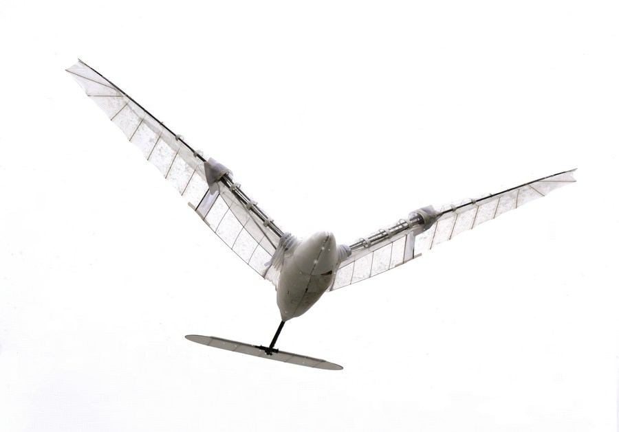 Satu tim peneliti universitas di Tiongkok berhasil memecahkan rekor Guinness untuk durasi penerbangan terlama Ornithopter