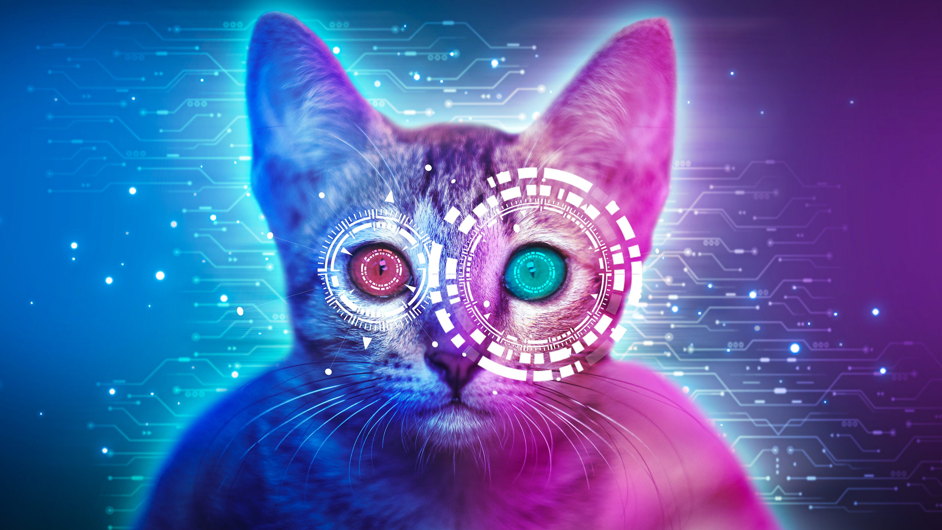 Meskipun kedengarannya mengesankan kita perlu melihat bagaimana kinerjanya dalam aplikasi dunia nyata