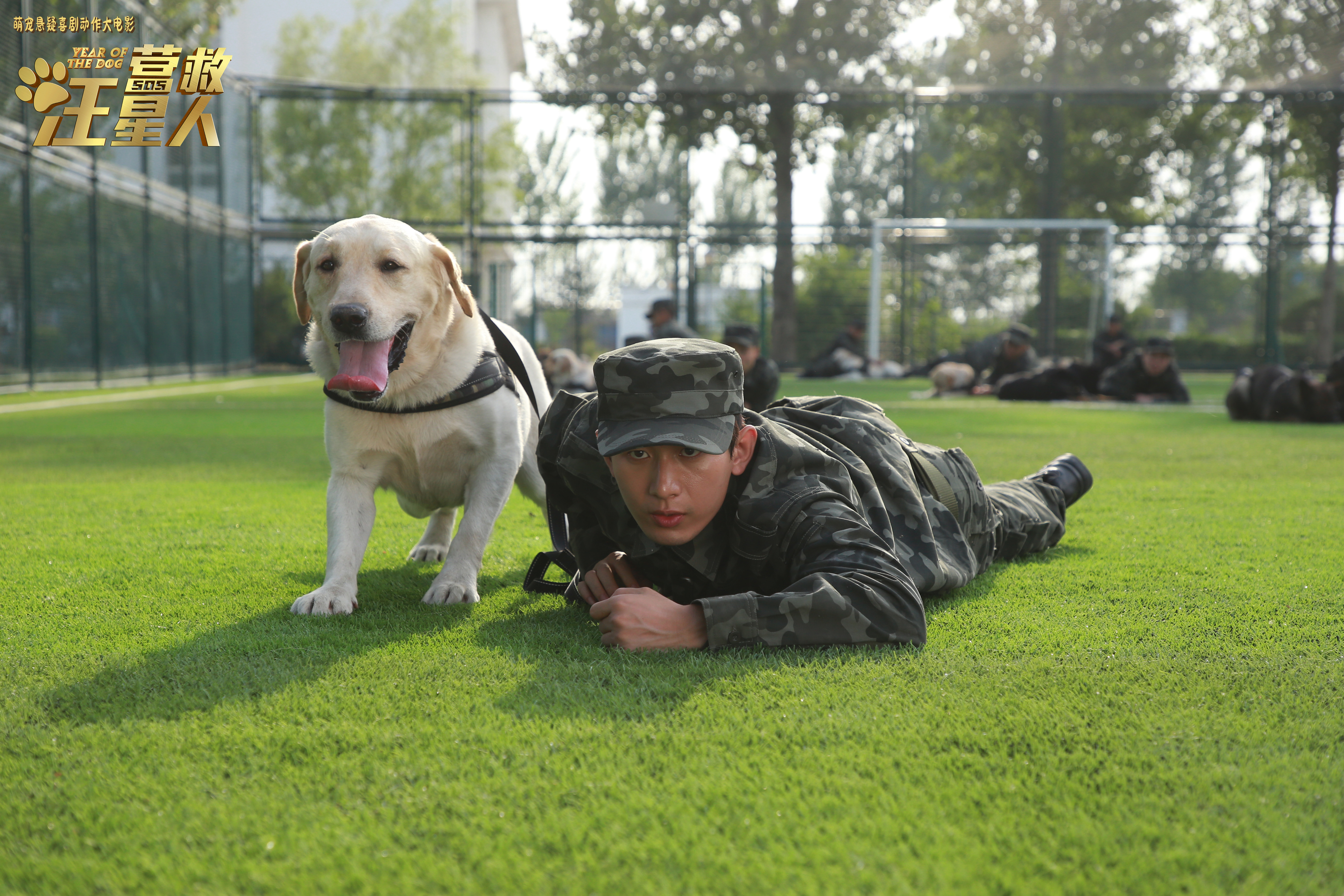 Film 'Year of the Dog' Dijadwalkan Rilis pada Hari Valentine