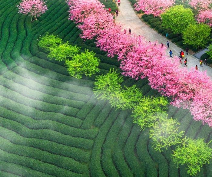 Di berbagai tempat di Longyan