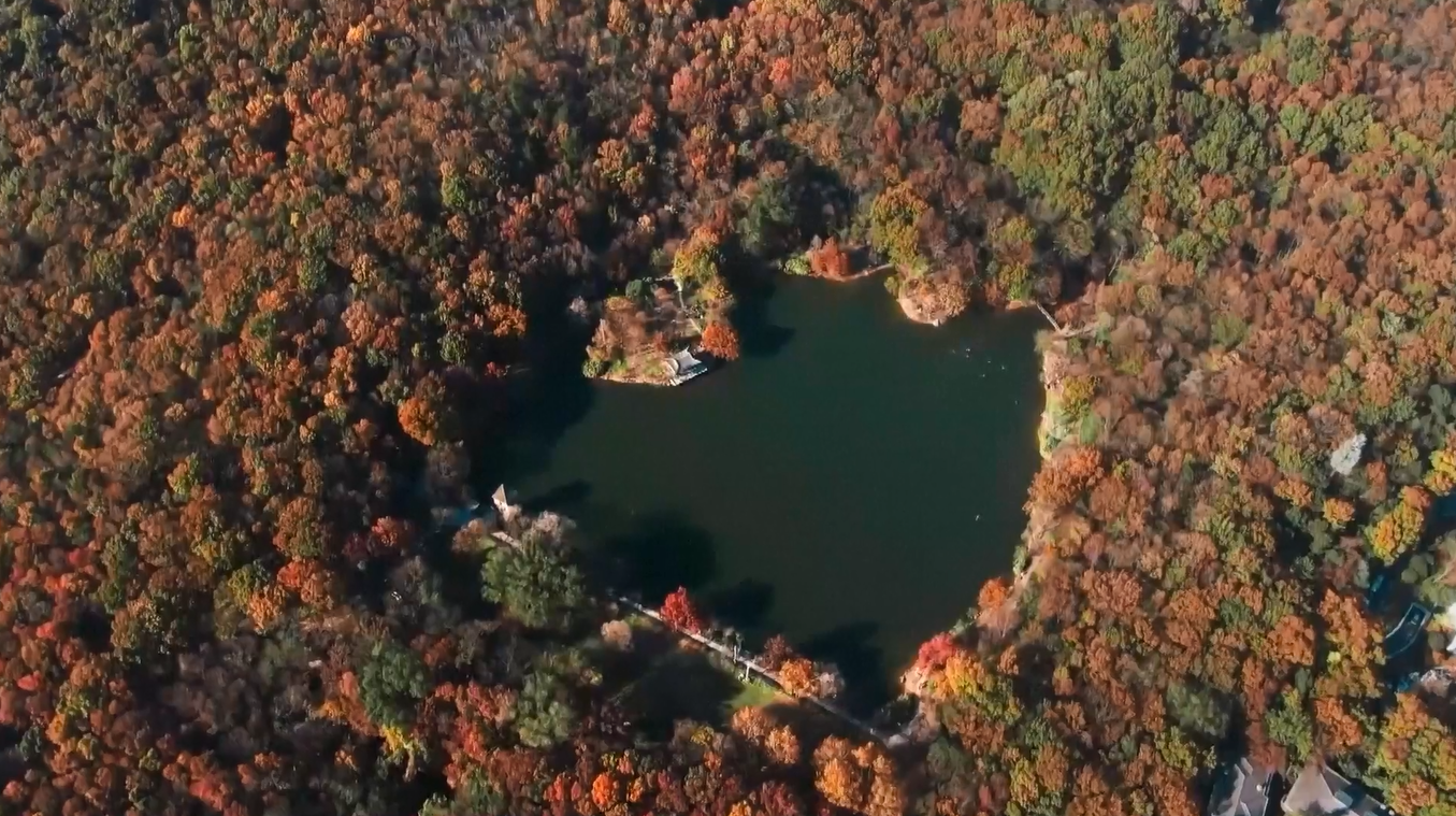 Tiongkok Capai Kemajuan yang Signifikan dalam Perlindungan Lahan Basah pada Periode 2021-2025