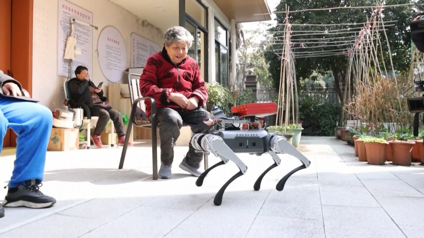 Seekor anjing robot bernama Xiaoxi membantu para perawat setempat untuk meningkatkan kualitas hidup para lansia di sebuah komunitas di Hangzhou