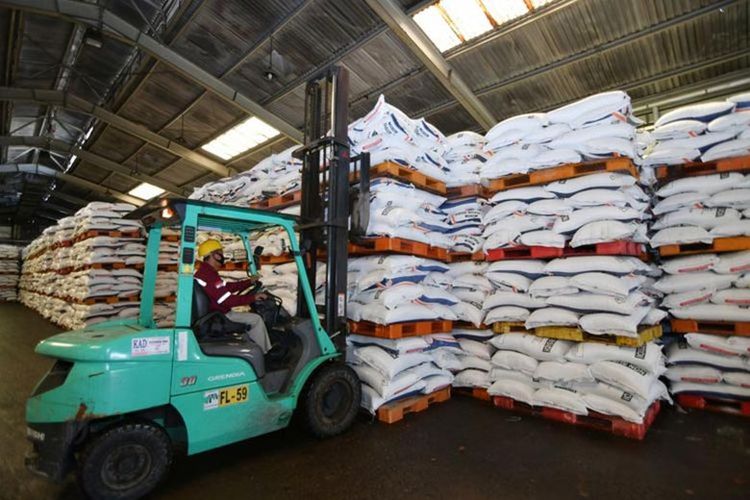 Salah satu topik yang disampaikan Presiden Joko Widodo (Jokowi) pada Konferensi Tingkat Tinggi (KTT) G20 di  Bali adalah ketersediaan pupuk