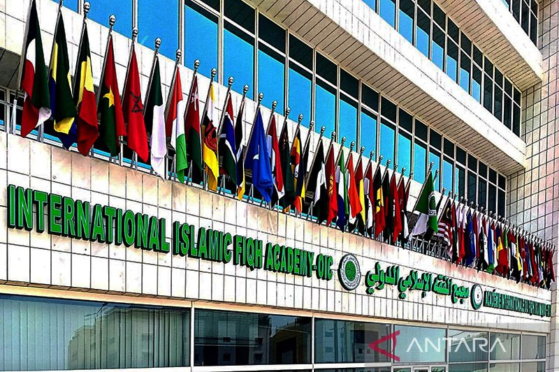 IIFA adalah sebuah organisasi sarjana universal dan bagian dari OKI