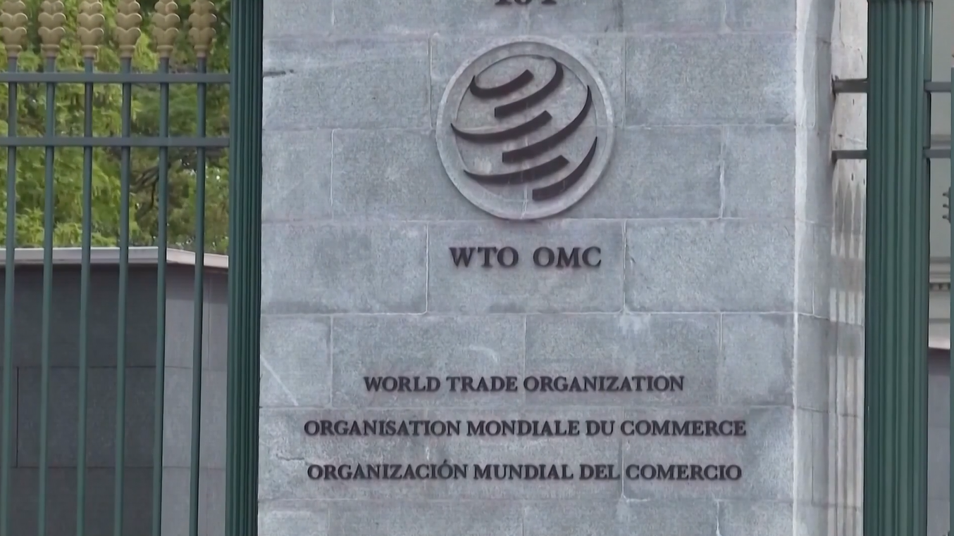 Wakil Menteri Perdagangan: Tiongkok akan Berpartisipasi Aktif dalam Reformasi WTO