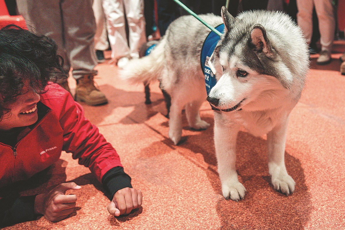 Program ini bertujuan untuk memanfaatkan nilai sosial hewan peliharaan