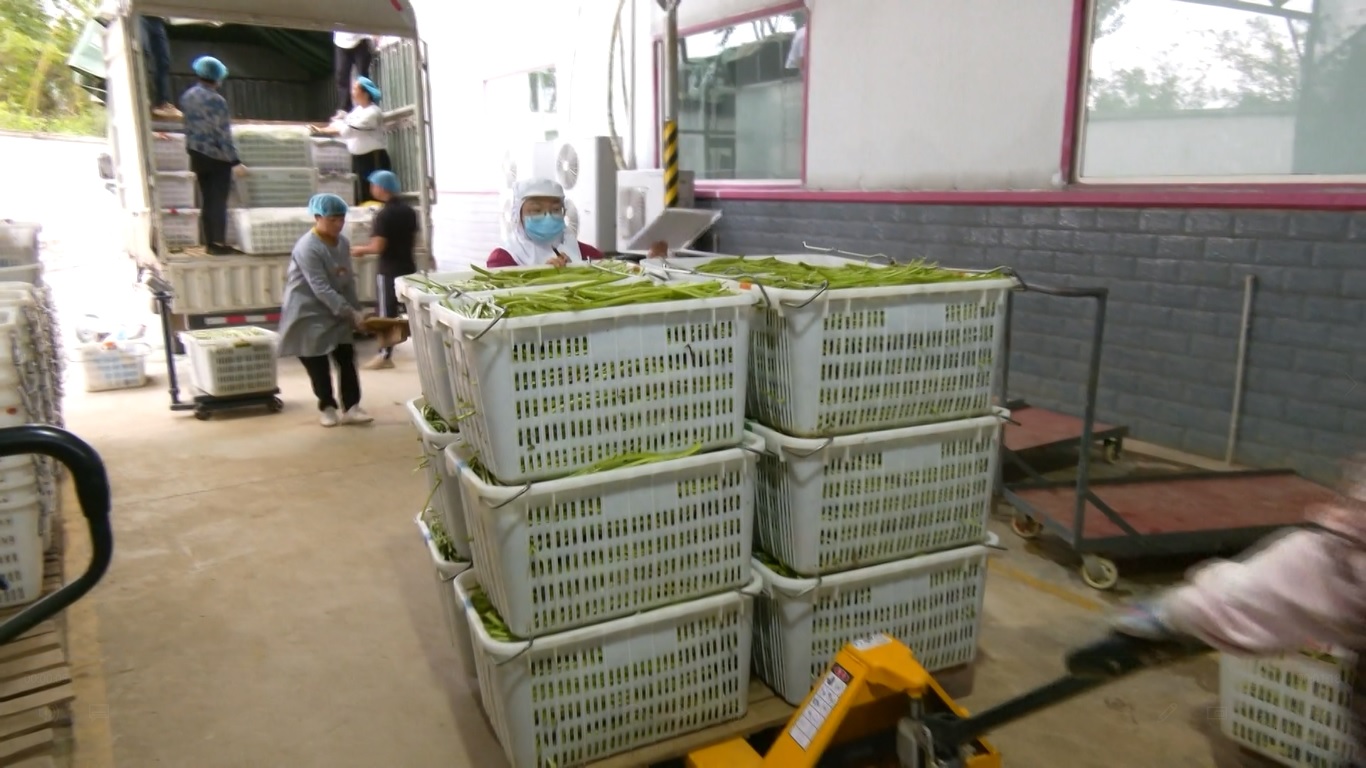 Dalam lima bulan pertama tahun ini