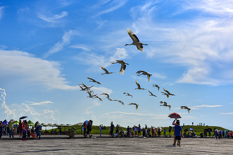 Lahan basah ini juga merupakan persinggahan penting bagi burung yang bermigrasi dari Kutub Utara ke Asia Tenggara