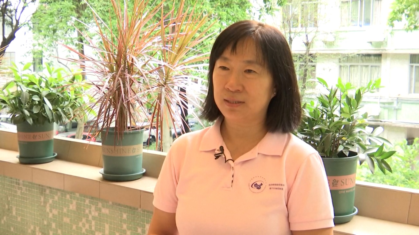 Kota di Tiongkok Selatan Tingkatkan Pengendalian Nyamuk karena Kasus Chikungunya Melonjak Melewati 2.600