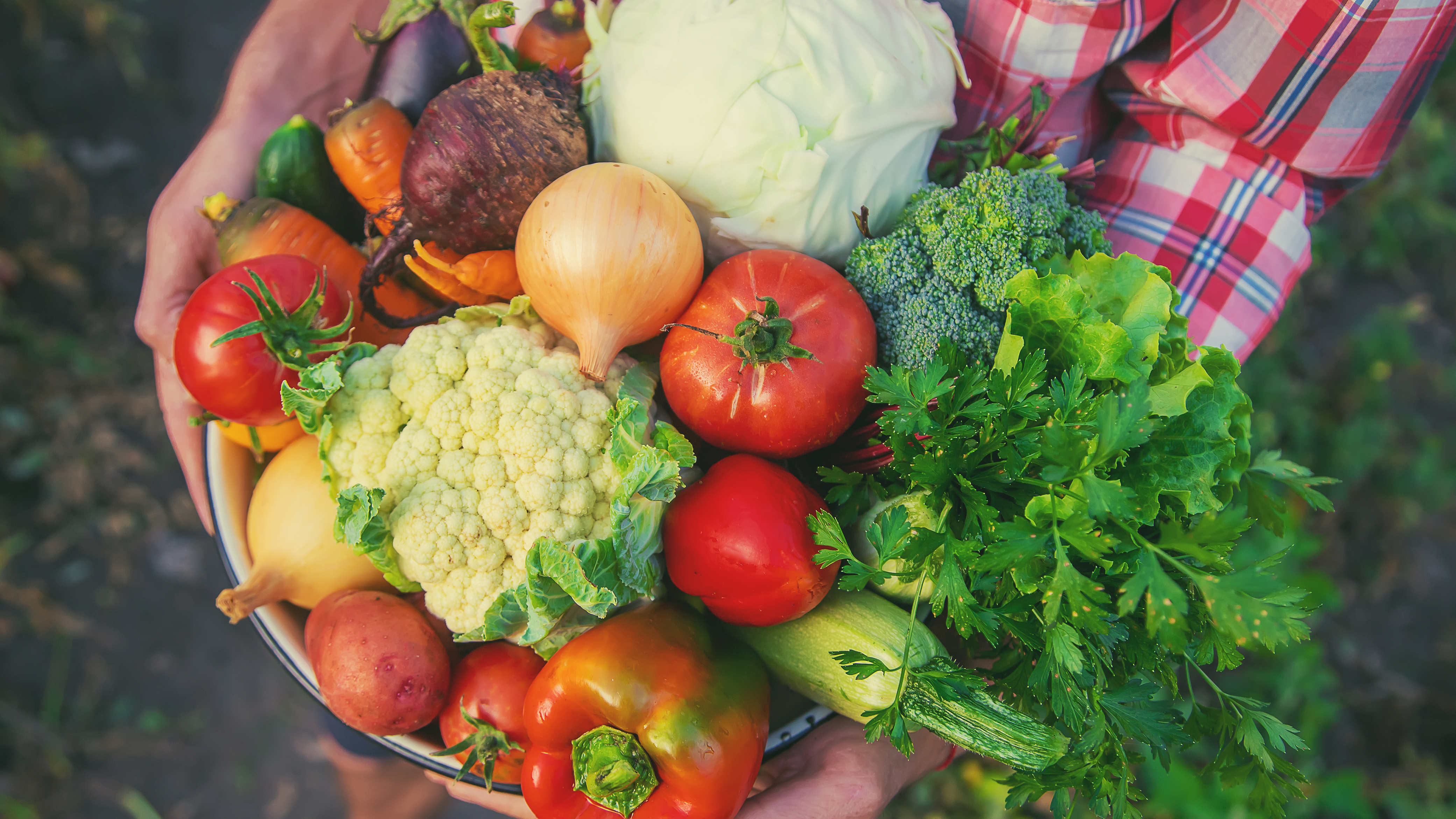 Tiongkok Luncurkan Pertanian Pintar di Atas Kapal