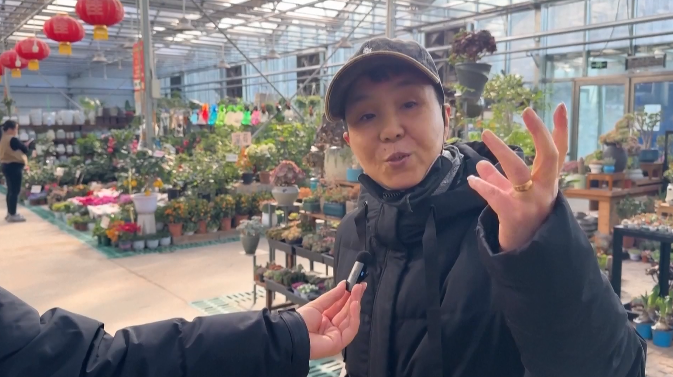 Permintaan Bunga Melonjak di Shanxi Menjelang Tahun Baru