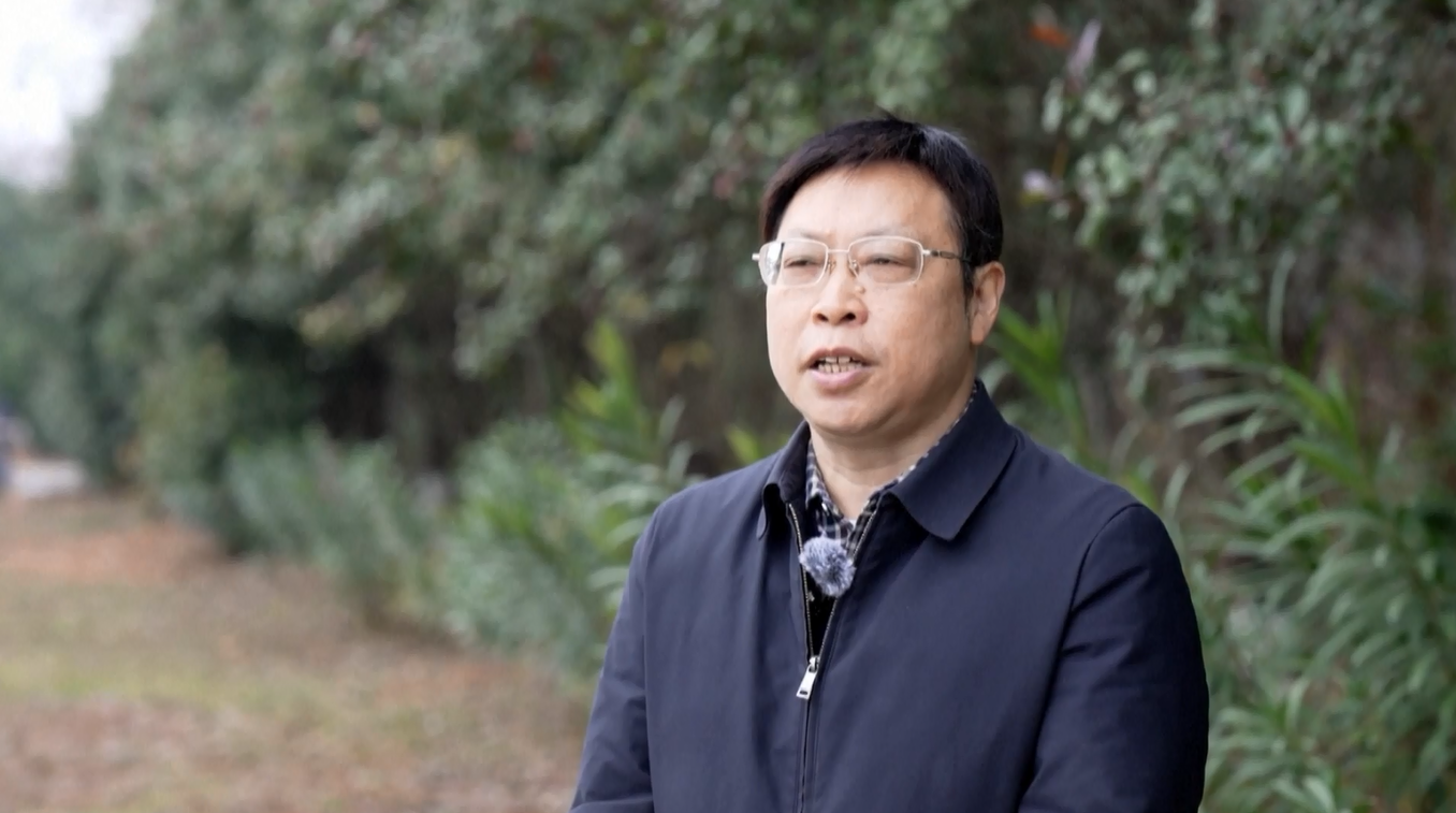 Laporan: Perusahaan Swasta di Tiongkok Memperkuat Peran Utama dalam Mendorong Inovasi