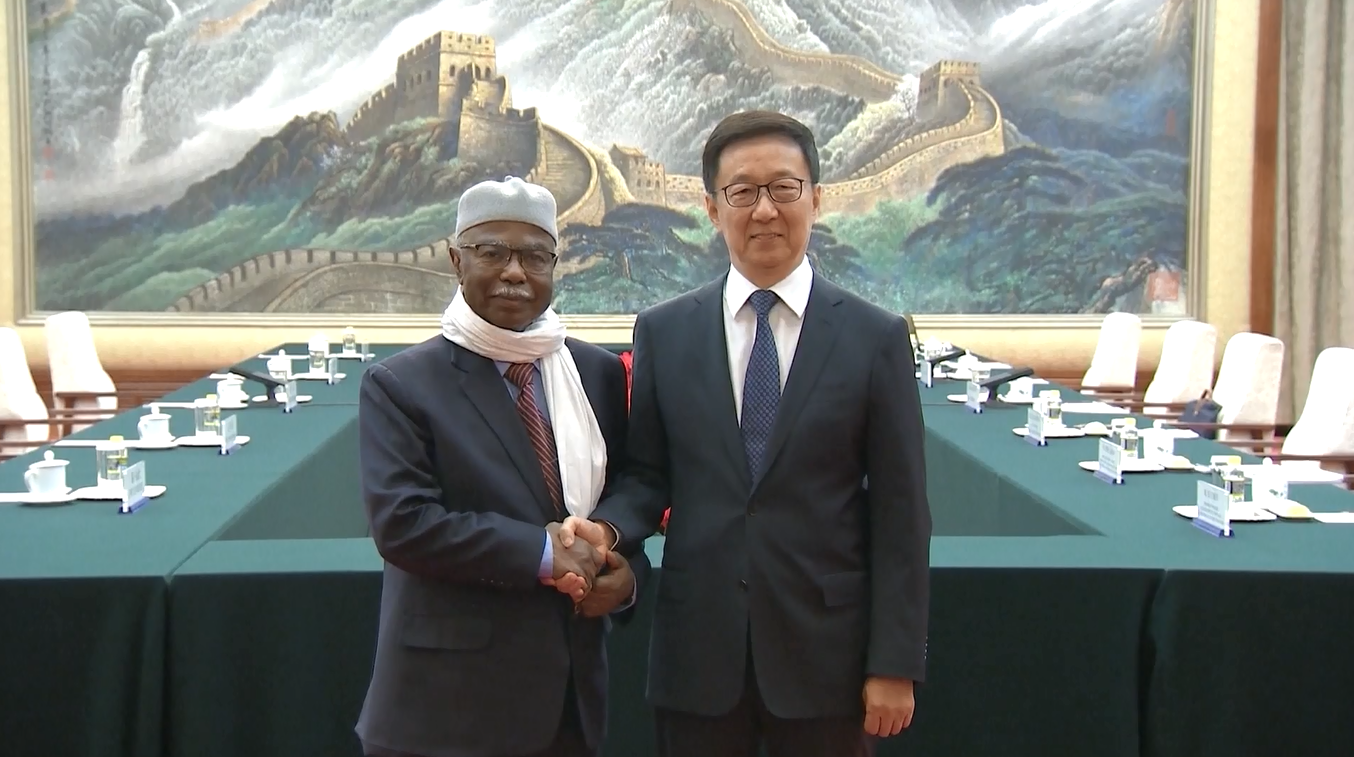 Wakil Presiden Tiongkok Bertemu dengan Sekretaris Jenderal Organisasi Kerja Sama Islam (OKI)