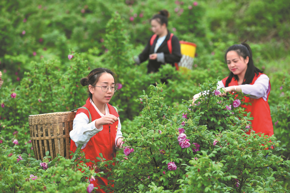 Florikultura yang dipadukan dengan pariwisata