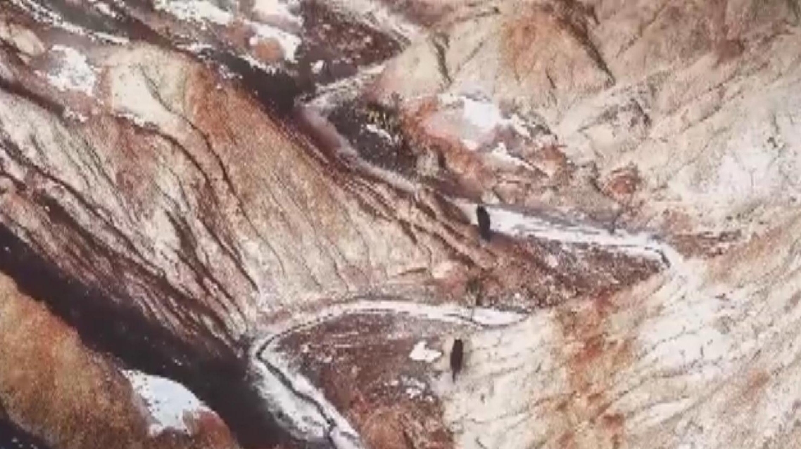 Sekelompok Serigala Terlihat Setelah Turun Salju di Cagar Alam Xinjiang